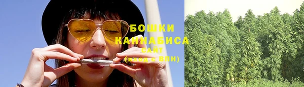 стафф Вяземский