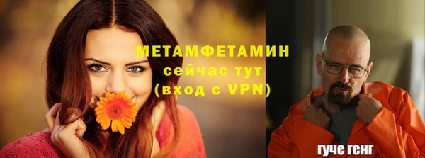 стафф Вяземский