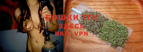 стафф Вяземский